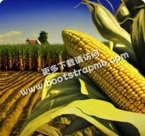 2012年成立，专业服务至今 - 华体会体育